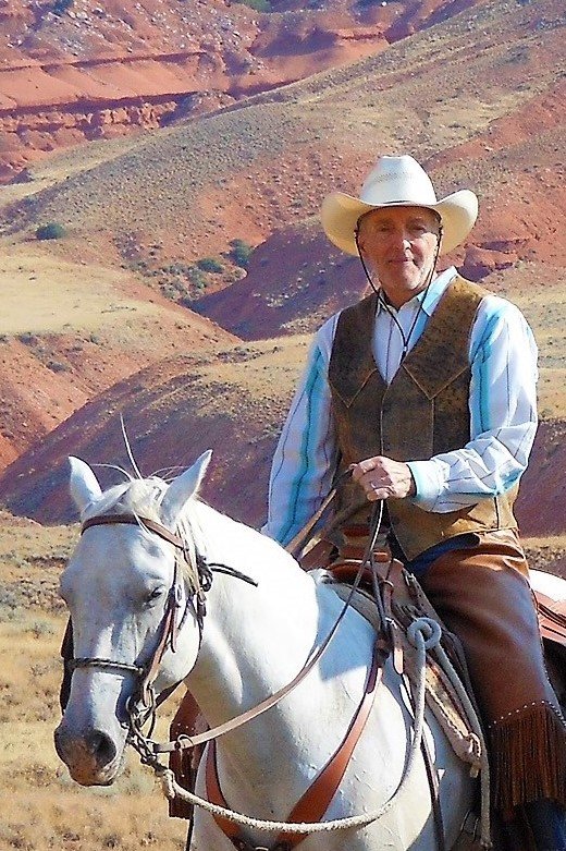 Terry L. Lloyd, P. C. - divorce attorney in Lawrenceville, GA