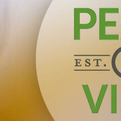 Pearle Vision