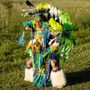 Photo of Go Native Now