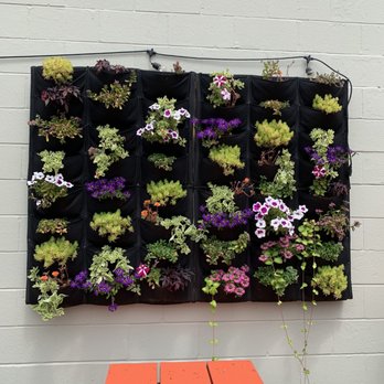 Root Wild - Plants and such. - Breweries Near Me - Portland, Maine Root Wild - Plants and such. - Breweries Near Me - Portland, Maine