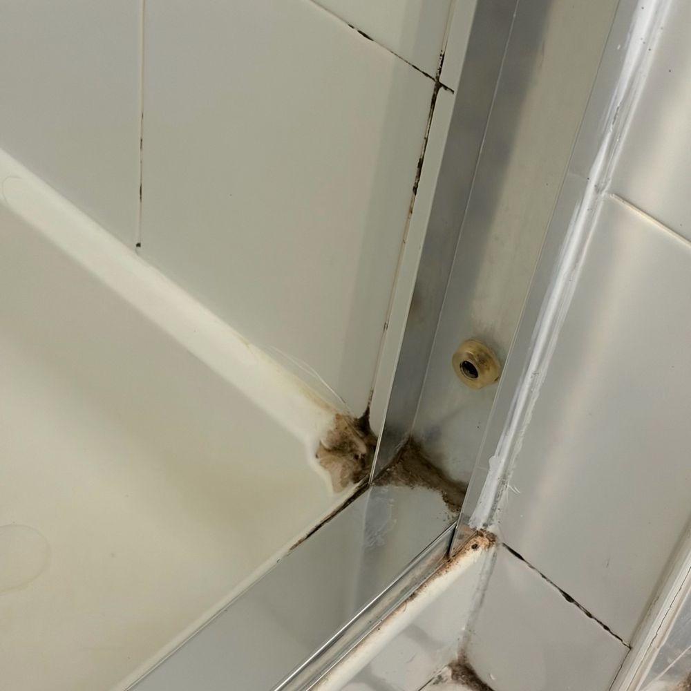 Beachliner Hotel - Shower mold; broken tile - Hotels Near Me - Ocean Grove, New Jersey Beachliner Hotel - Shower mold; broken tile - Hotels Near Me - Ocean Grove, New Jersey