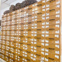 Traditional Chinese Medicine Cabinet
