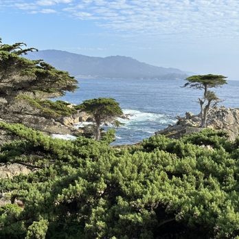 Big Sur Adventures - Bike Rentals Near Me - Pacific Grove, California