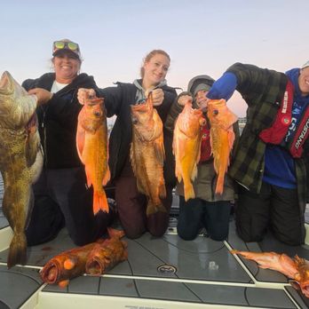 Big Bass Dreams - Fishing Near Me Big Bass Dreams - Fishing Near Me