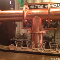 Patagonia Brewer