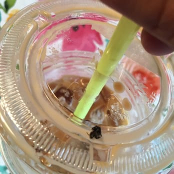 Jitter Bean Coffee Co - Fly #2 - Coffee & Tea Near Me - Arcata, California