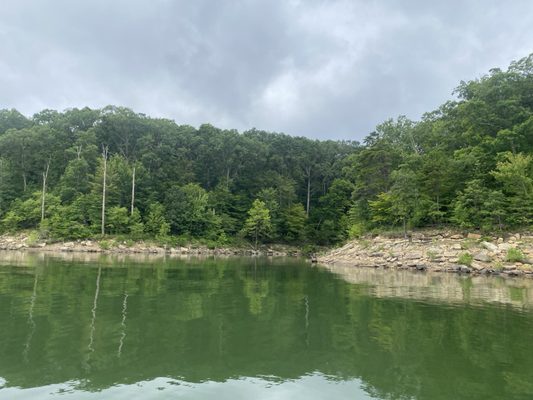 Daniel Boone National Forest by null