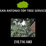 Photo of San Antonio Top Tree Service