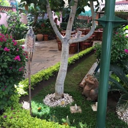 Hotel Villa Bonita