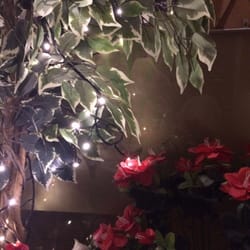 Thai Cafe - This is pure romance.
