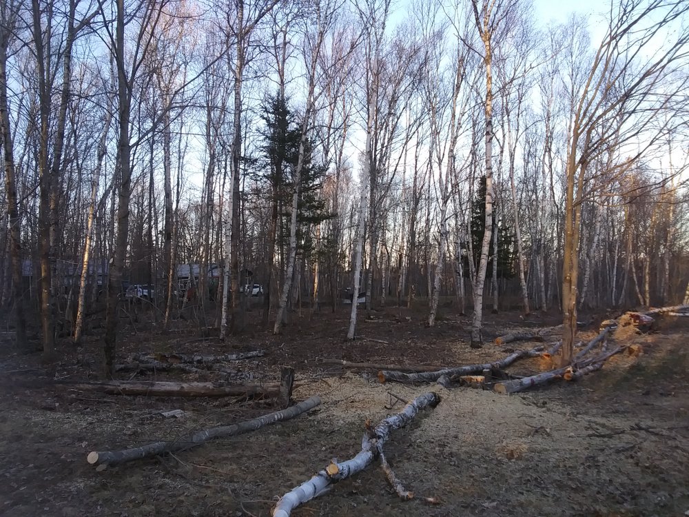 East Coast Chopper - tree service in Millinocket, ME