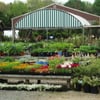 Conley's Garden Center and Landscaping gift card