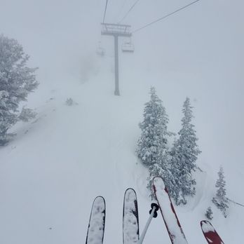 Canyon Transportation - Snowbird - Airport Shuttles Near Me - Midvale, Utah