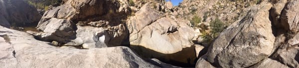 Catalina State Park by null