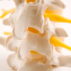 Snyder Chiropractic & Acupuncture - Back Doctors | Chiropractic Adjustment Tulsa