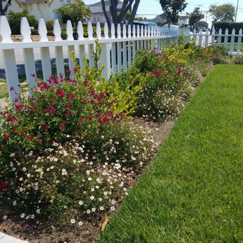 Segale & Cerini - Landscaping Near Me - Colma, California Segale & Cerini - Landscaping Near Me - Colma, California