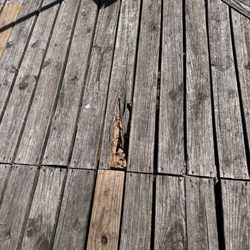 Jackson Zoological Park - Rotten boardwalk