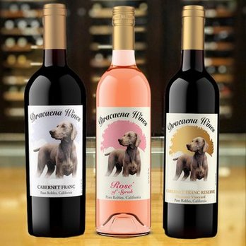 Dracaena Wines - taste through our award winning wines and learn about Paso Robles - Wine Tasting Room Near Me - Fresno, California Dracaena Wines - taste through our award winning wines and learn about Paso Robles - Wine Tasting Room Near Me - Fresno, California