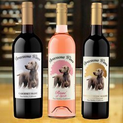 Dracaena Wines - Taste through our award winning wines and learn about Paso Robles