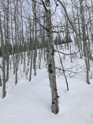 The Hole Hiking Experience by null