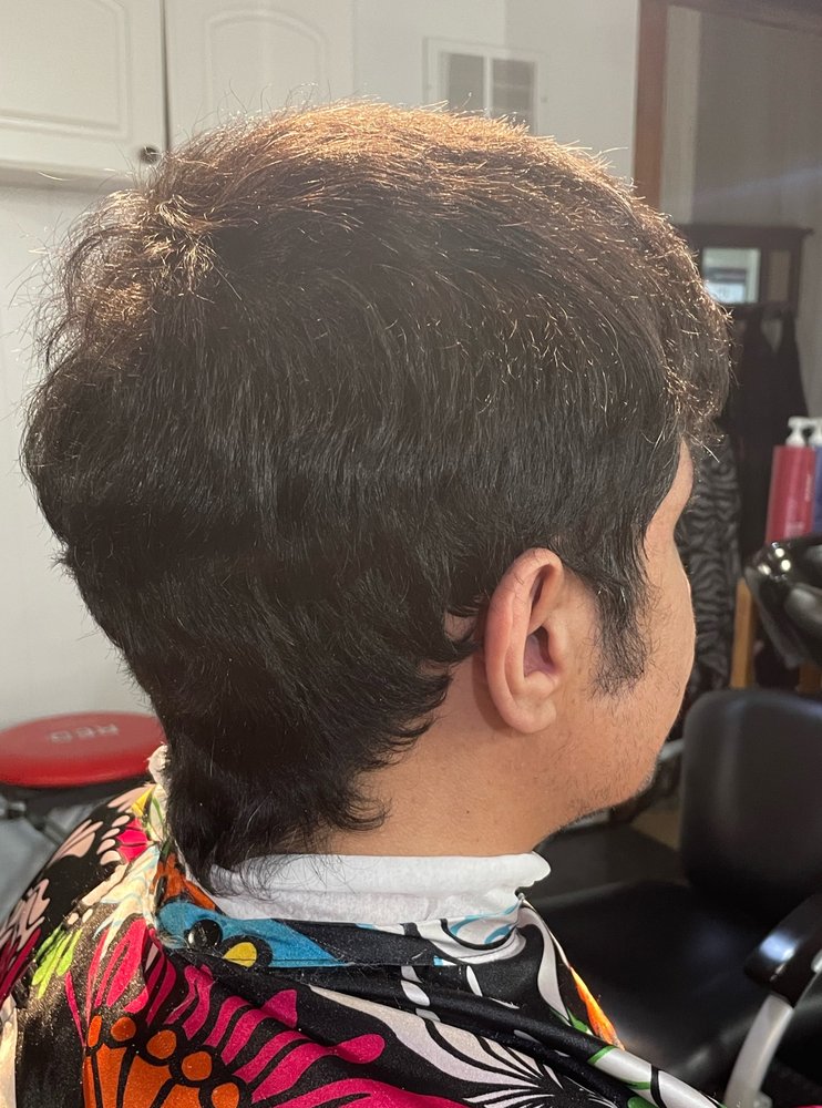 Afsi Master Stylist Logo