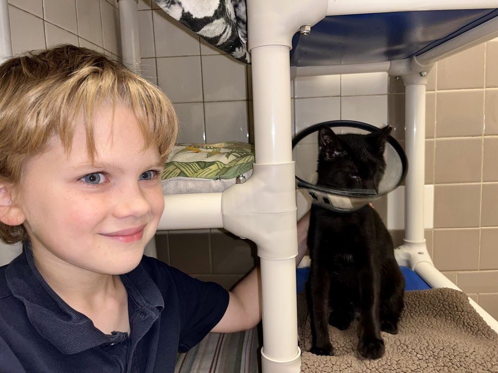 PAWS HUMANE Updated August 2024 17 Photos & 20 Reviews 4900