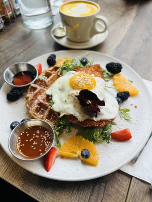 Peacock Pansy by null