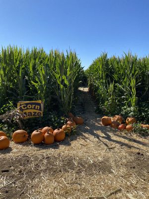 Larry's Produce by null