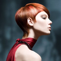Fresh Hair Studio - NAHA 2009 Finalist Photo by Laurie Haney
