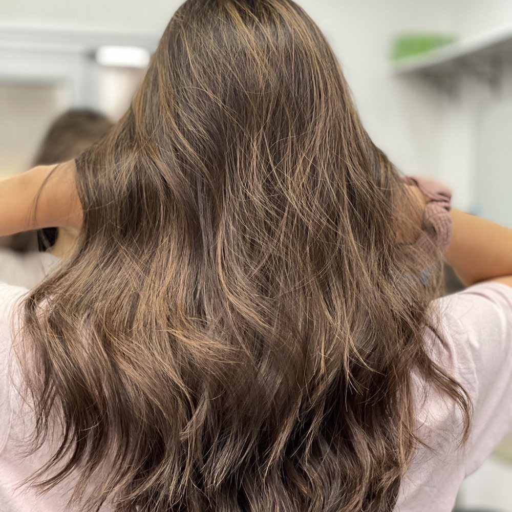 Brian Guy Studio 14 - The back of my hair in the light - Hair Stylists Near Me - Irvine, California
