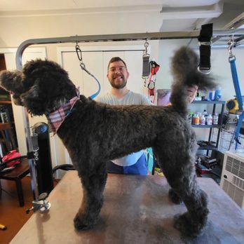 Rosie's Day Out - Pet Groomers Near Me - San Antonio, Texas Rosie's Day Out - Pet Groomers Near Me - San Antonio, Texas