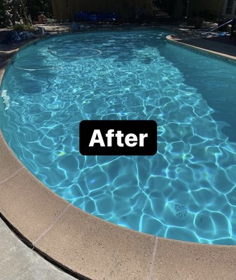 Pool Cleaning and Maitenence - Customer's pool was overrun by algae. We quickly got a grip on the issue and brought the pool back to a safe and beautiful state! Pool Cleaning and Maitenence - Customer's pool was overrun by algae. We quickly got a grip on the issue and brought the pool back to a safe and beautiful state!