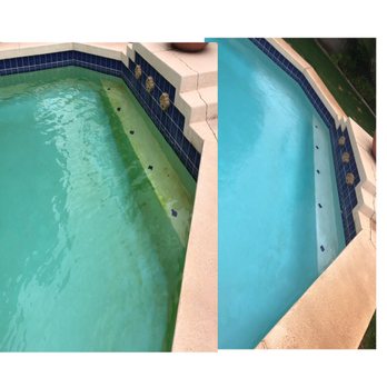 Brennan Pool Care - A new customer we picked up on Friday had yellow algae. We came back on Monday to check on pool. No more yellow algae. - Pool & Hot Tub Service Near Me Brennan Pool Care - A new customer we picked up on Friday had yellow algae. We came back on Monday to check on pool. No more yellow algae. - Pool & Hot Tub Service Near Me