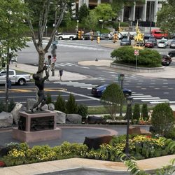 Fairmount Park - Fairmount Park bordering Benjamin Franklin Parkway