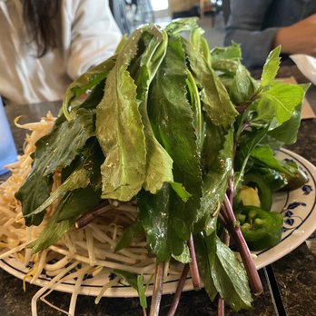 Pho 95 - Pile high veggies - Vietnamese Near Me - Denver, Colorado Pho 95 - Pile high veggies - Vietnamese Near Me - Denver, Colorado