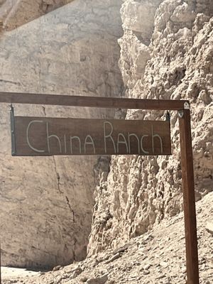 China Ranch Date Farm & Bakery by null