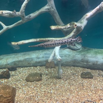 McWane Science Center - Museums Near Me - Birmingham, Alabama McWane Science Center - Museums Near Me - Birmingham, Alabama