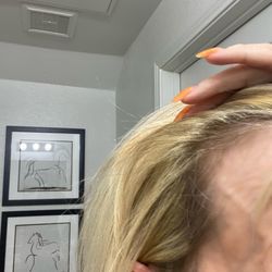 Panther City Salon - Regrowth uncolored, several places all over