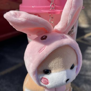 Ume Tea - Bubble Tea Near Me - Evanston, Illinois