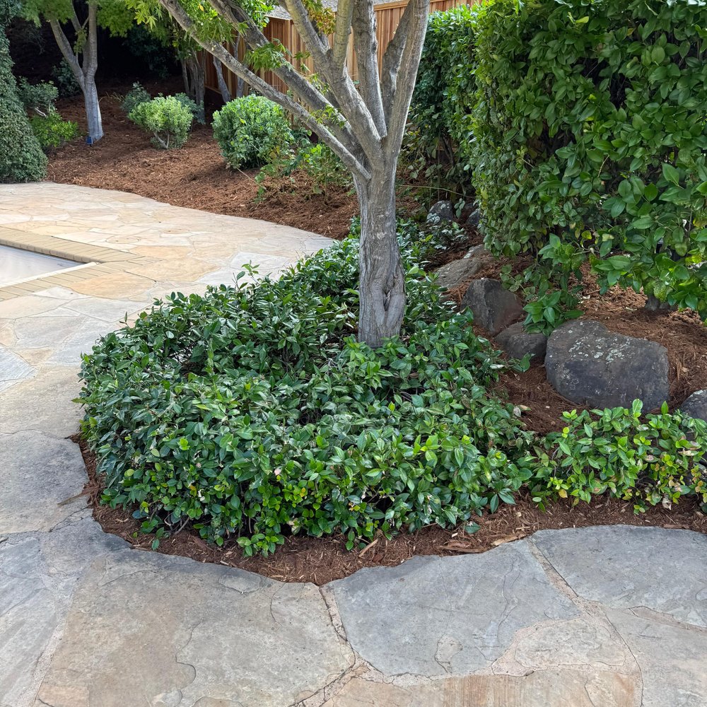 Going Electric - Sustainable Landscaping - Lincoln Landscaping, image size:1000x1000