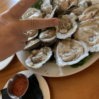 Mud Bugs A Cajun Joint - Oysters 2 is for a competition in Buda to eat twice a week. - Cajun/Creole Near Me - Buda, Texas Mud Bugs A Cajun Joint - Oysters 2 is for a competition in Buda to eat twice a week. - Cajun/Creole Near Me - Buda, Texas