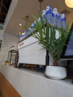 Bluestone Lane Front Street Coffee Shop by null