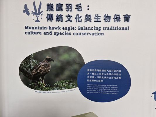 National Taiwan Museum by null