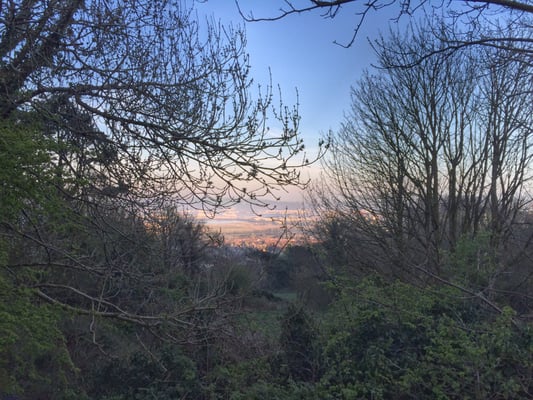 Cave Hill Country Park by null