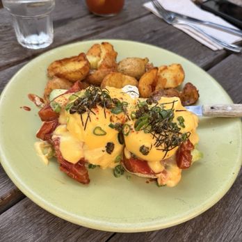 Berkeley Social Club - Ahi Benedict - Breakfast & Brunch Near Me - Berkeley, California Berkeley Social Club - Ahi Benedict - Breakfast & Brunch Near Me - Berkeley, California