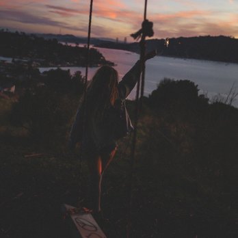 Hippie Tree - Sunset and Swings at hippie tree - Hiking Near Me - Tiburon, California