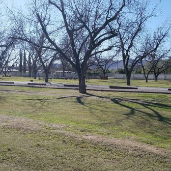 Morning Glory Cafe - Pretty groves at the Farm, South Mountains (pecan trees) - Breakfast & Brunch Near Me - Phoenix, Arizona