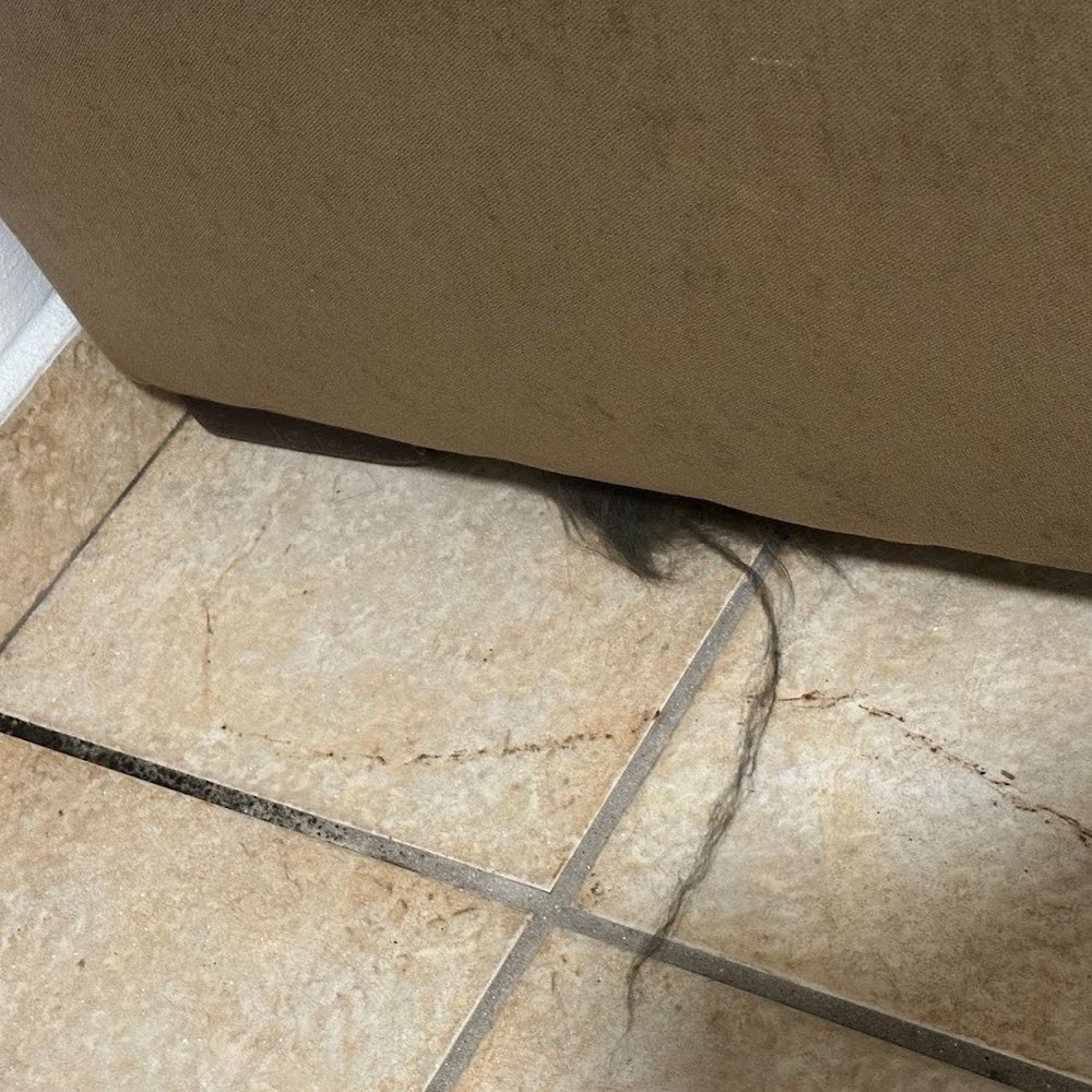 Condado Del Mar - Hair under couch and dirt/mold - Apartments Near Me - San Juan, Puerto Rico Condado Del Mar - Hair under couch and dirt/mold - Apartments Near Me - San Juan, Puerto Rico