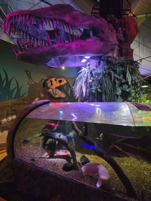 SEA LIFE Sydney Aquarium by null