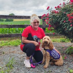 K9 Caring Angels Dog Training - ToulaRose, Certified Therapy Dog